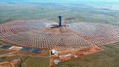 Concentrated Solar Power towers impact on birdlife lower than expected